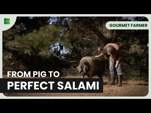 The Passion Behind Italian Pig Farms - Gourmet Farmer - Documentary