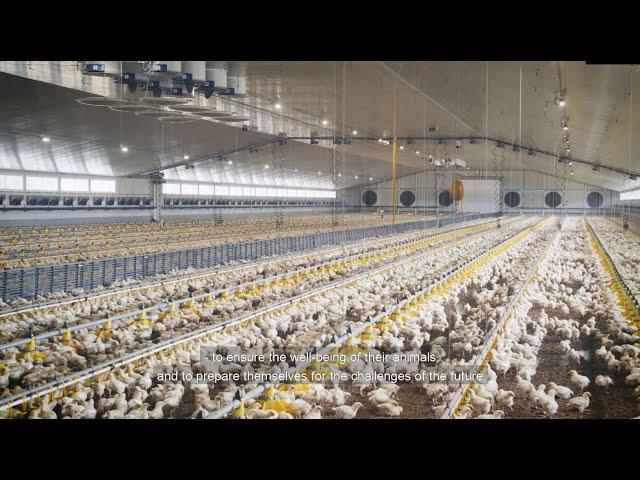 SKOV Climate and Farm Management for Poultry in Temperate Climate – Spanish