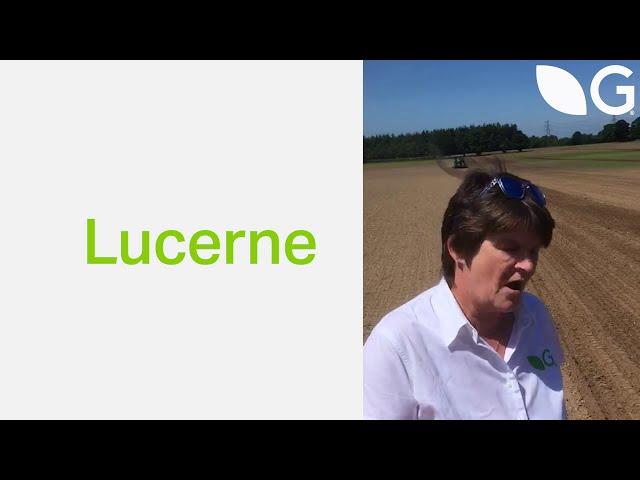 How to Sow Lucerne Seed – Grassland Farming