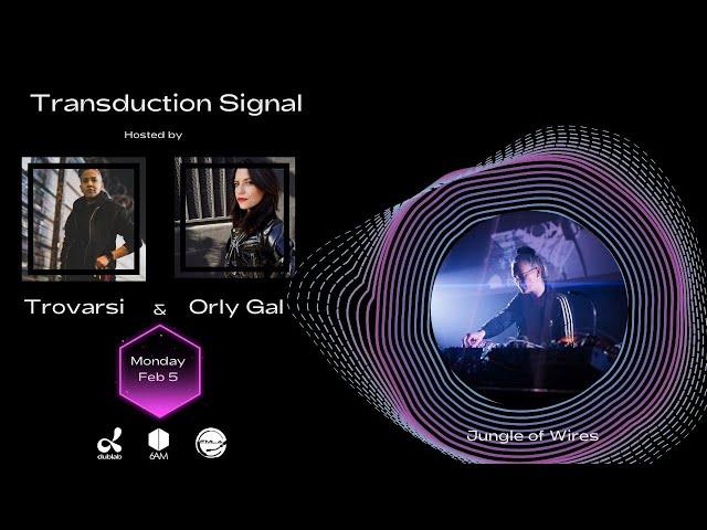 Jungle of Wires Guest on Transduction Signal hosted by Trovarsi & Orly Gal