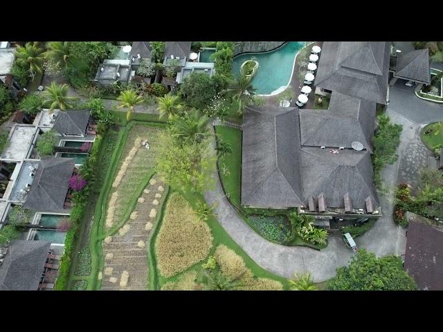 Ubud by Drone 2023   4K   by JoeBiker25