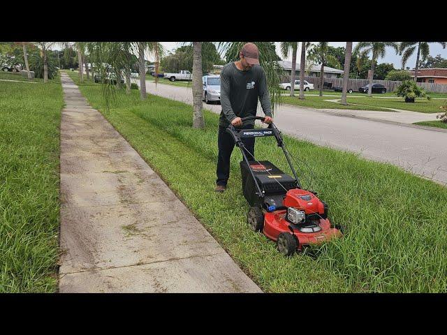 SATISFYING Grass Cut - Bagging WET Grass and REMOVING The Clippings