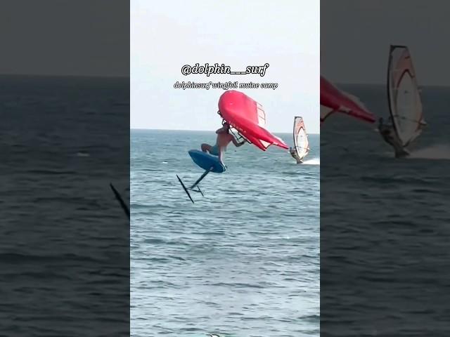 돌핀서프 베트남 윙포일 투어