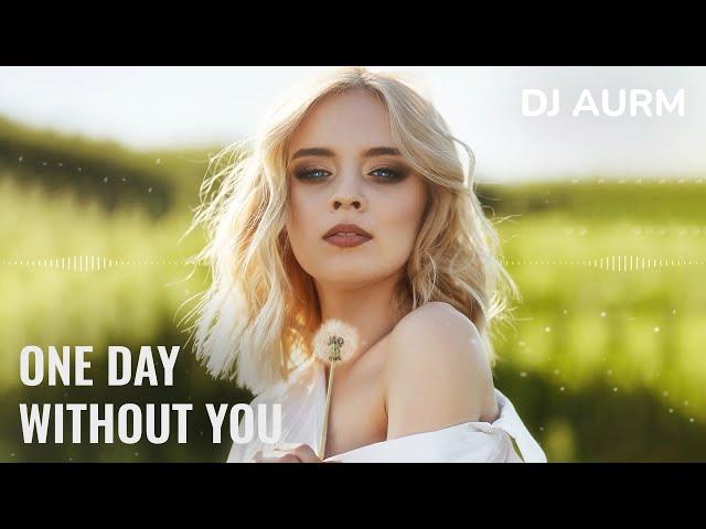 DJ AURM - One Day Without You