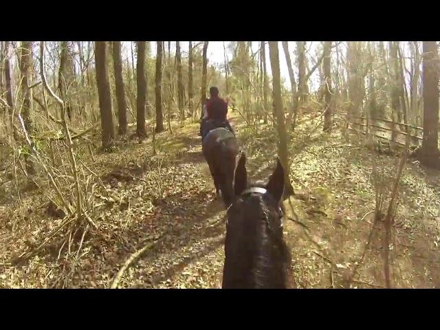 March 13 2022 enjoying the ride