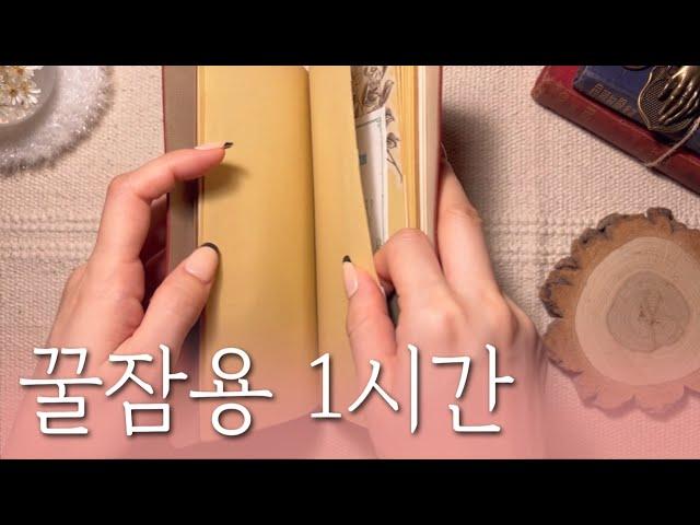 수면용 영상 다꾸 ASMR 1시간| for sleep | relaxing sounds | 구독자 요청 | 저화질