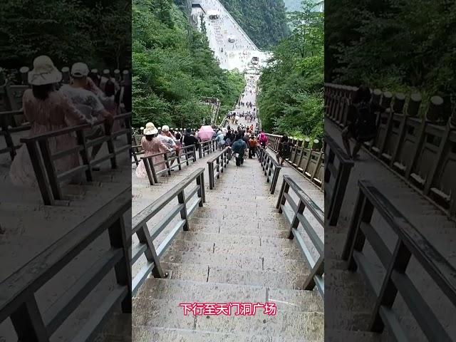 張家界天門山怎麼玩，去天門山自由行選擇那條線路好，天門山旅遊攻略，天門山A線門票#張家界 #天門山 #張家界導遊張雄 #張家界國家森林公園 #zhangjiajie #travel