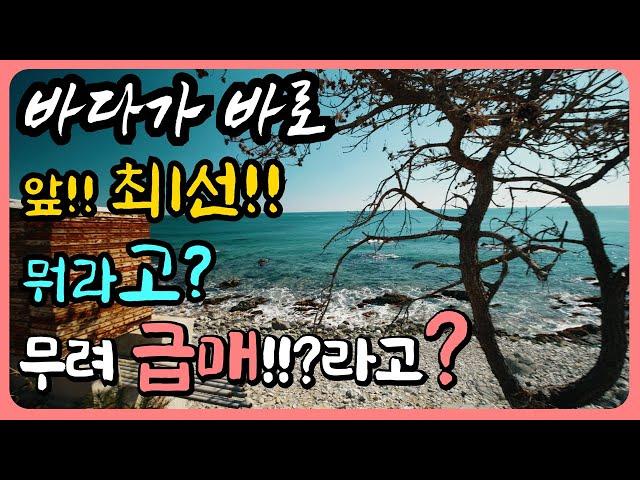 [ 바닷가 1선 급매물 ]눈물의 급매 바다 바로 앞 땅 1선 바다 1선 땅 바다 앞 땅 매물 바닷가땅 매매 바다 앞 토지 매매