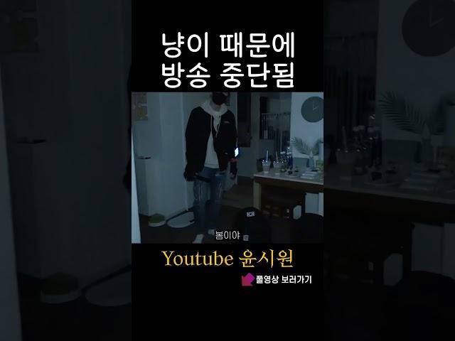 윤시원 고양이 괴롭힘 [공포 심령 실제사연 호러 미스테리] #shorts
