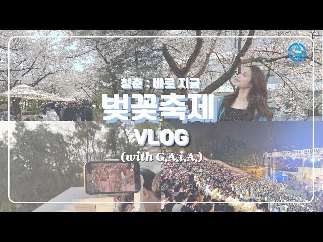 [브이로그] G.A.i.A.와 함께 즐기는 벚꽃축제 | 아주대학교 벚꽃축제 브이로그