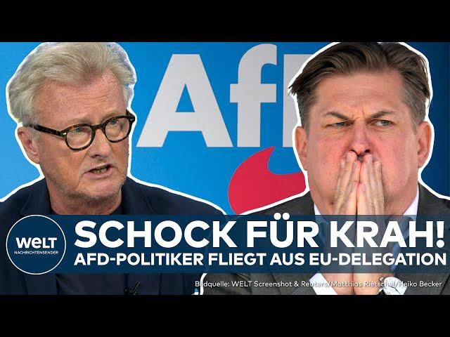 MAXIMILIAN KRAH: Is the AfD Cleaning House? Scandal Politician Ousted from EU Delegation!