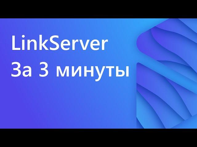 LinkServer за 3 минуты