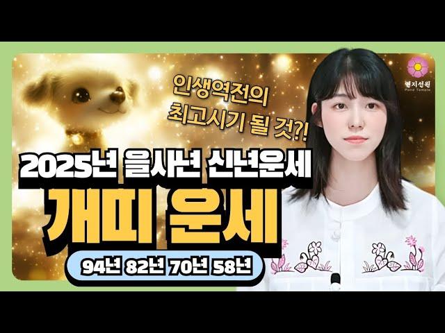 [2025년 을사년 개띠운세] 인생역전하며 대박나는 시절이 왔습니다! 58년생 70년생 82년생 94년생 개띠 운세