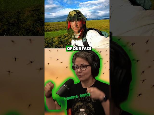 Surviving Siberia: The Brutal Mosquito Swarms and Wild Expeditions #JRE