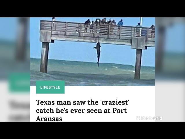  I SAW THE CRAZIEST CATCH EVER FROM FISHING PIER! SUBSCRIBE FOR MORE #Shorts