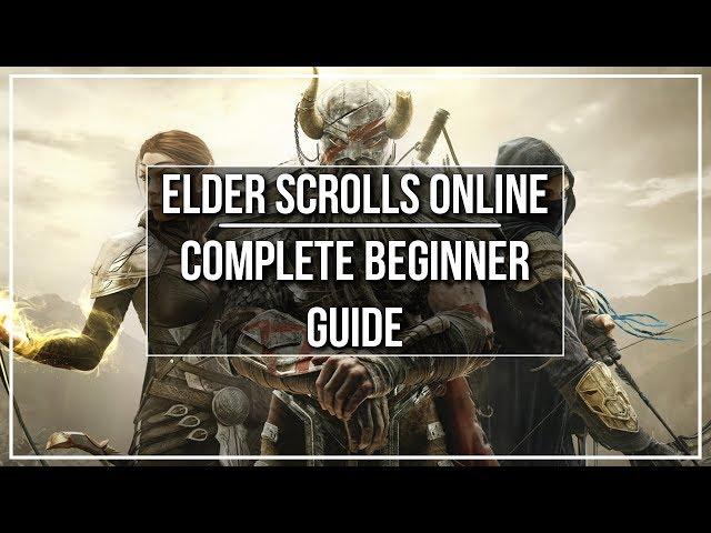 Elder Scrolls Online Complete Beginner Guide