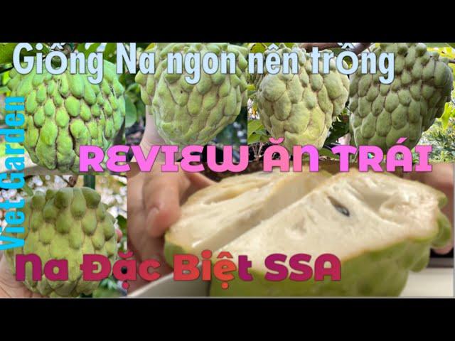 Vlog#43: Viet Garden thông báo nghỉ lễ 3 tuần - Review loại Na đặc biệt SSA đang rất được yêu thích.