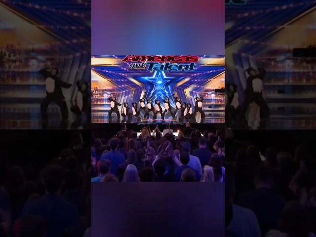 Keep spreading Loco Pop Familia!AGT 2025 #dance #agt #talent #cat #cats #catsdance #funny #cute