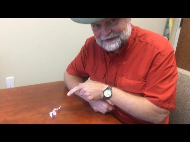 How to Make a Straw Paper Dinosaur with Buddy Davis