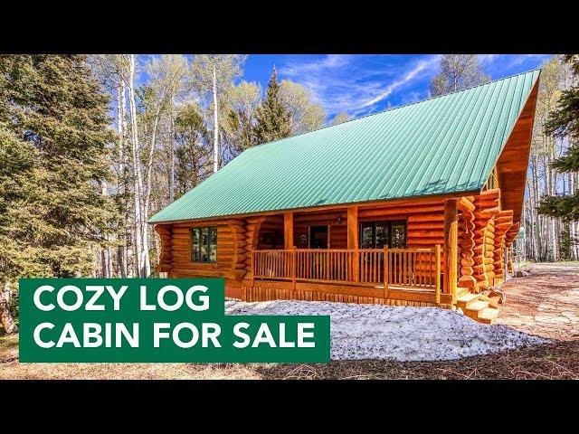 Best Log Cabin For Sale in Western Colorado?