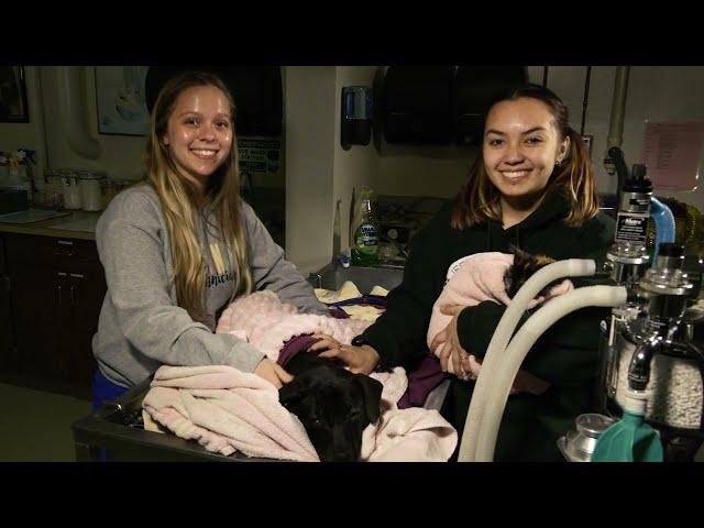 Jefferson College Foundation: Veterinary Technology Expansion