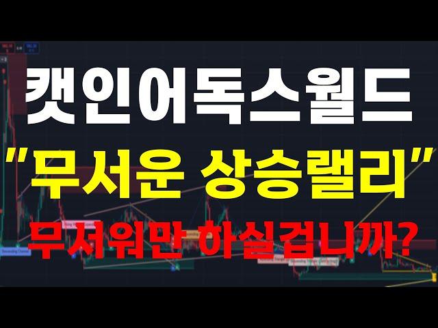 [캣인어독스월드 분석] "무서운 상승 랠리" 무서워만 하실 겁니까?. 大 불 장을 준비하세요.  ️매매 시 절대 시청!!️