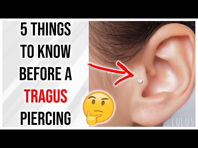 5 Things To Know Before Getting A Tragus Piercing 