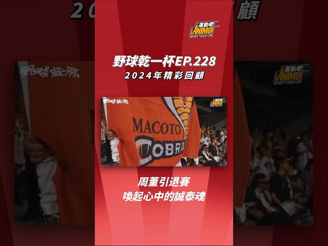 野球乾一杯2024年精彩回顧