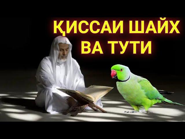 ҚИССАИ ШАЙХ ШОГИРДОНАШРО БА ГИРЯ ОВАРД