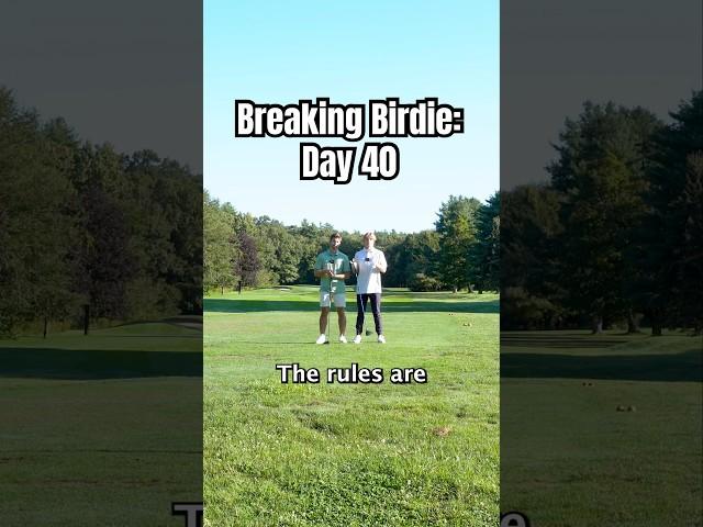 Welcome to Day 40 of Breaking Birdie ️ #golf