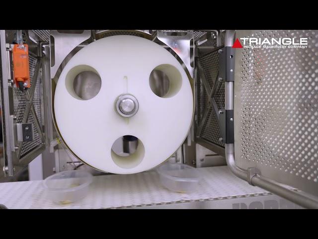 Rotary Wheel | Triangle Package Machinery