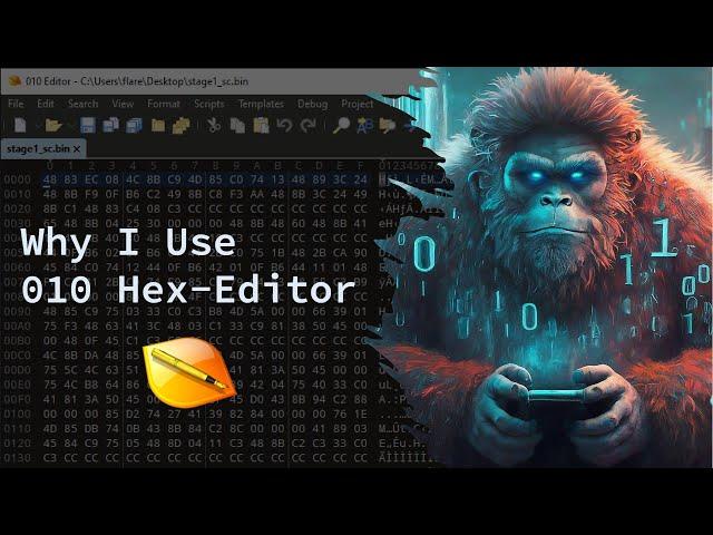 Why I use the 010 Hex-Editor - Essential Reverse Engineering Tools