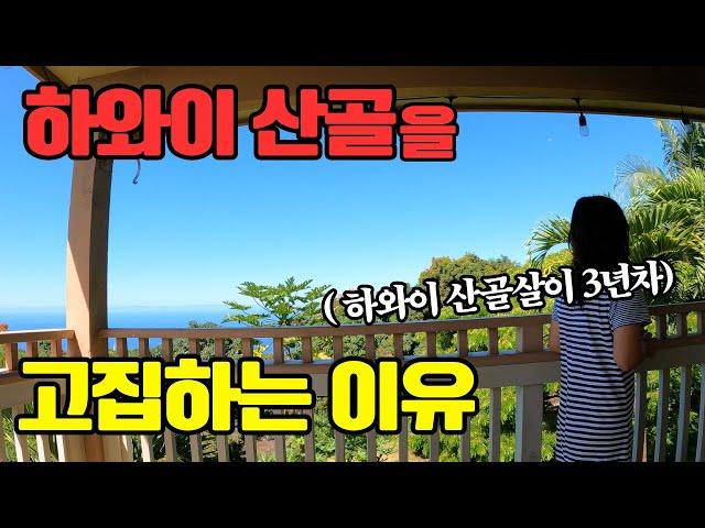 도시인이 상상할수 없는 하와이 산골살이 |  쓰레기 대국 미국이 분리수거를 하지 않는 열받는 이유