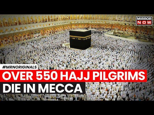 Hajj 2024 | Over 550 Hajj Pilgrims Killed Die To Intense Heat In Mecca | English News | World News