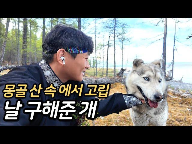몽골 깊은 산 속에서 고립된 순간, 나를 구한 정체불명의 개 한마리 - 몽골