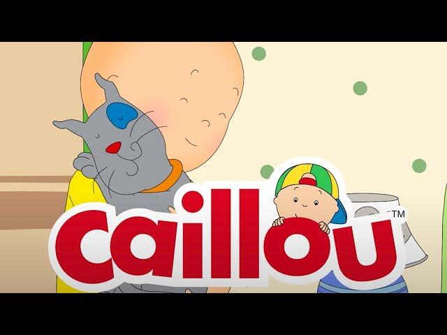 Caillou's New Adventures | Caillou Cartoons