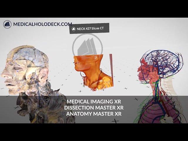 Medicalholodeck Apps -  Medical Imaging XR, Dissection Master XR and Anatomy Master XR side by side