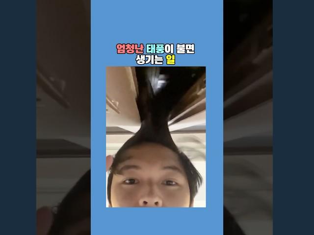 엄청난 태풍이 불면 생기는 일