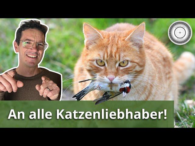 Ein großes Herz für Katzen UND Vögel??? Ja geht denn das überhaupt???