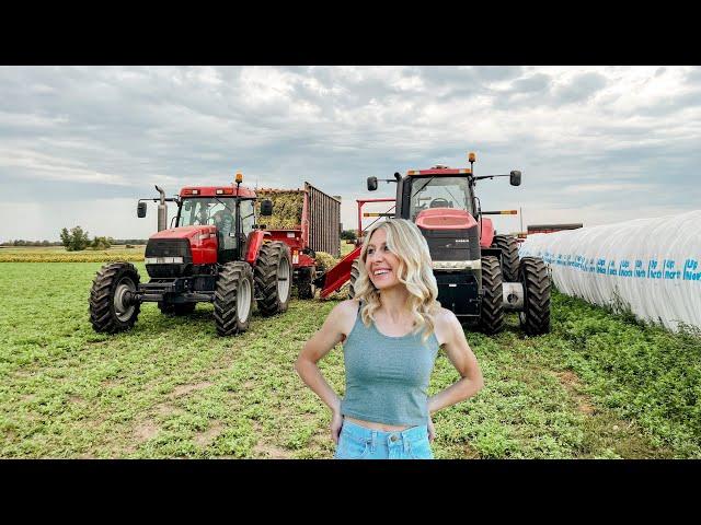 Is it Harvest Time?! The Silage bag says Yes!