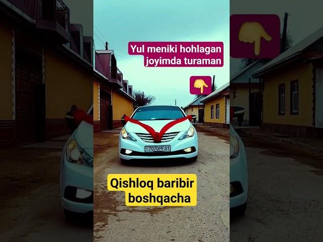 @shahrituztv98