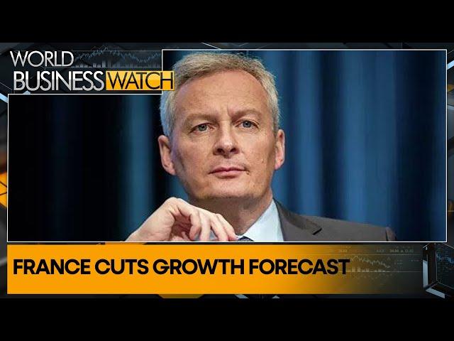 France lowers 2024 GDP growth forecast amid global uncertainty | World Business Watch | WION