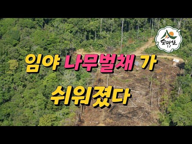 산림임의벌채규정 전격완화  산림 임업 농업 약초 6차산업 숲해설사 숲경영체험림 임업후계자 임업직불금 임업경영체 산림경영 귀농귀촌정보 임산물 산지허가 산림르네상스 산림소득 산림청