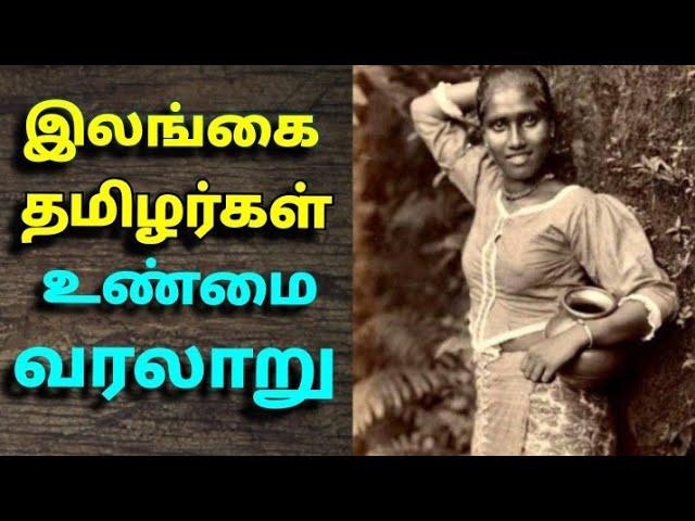 இலங்கை தமிழர்கள் வரலாறு| The history of srilankan tamilians| சோழர்கள்|பாண்டியர்கள் | பாரசீகர்கள்