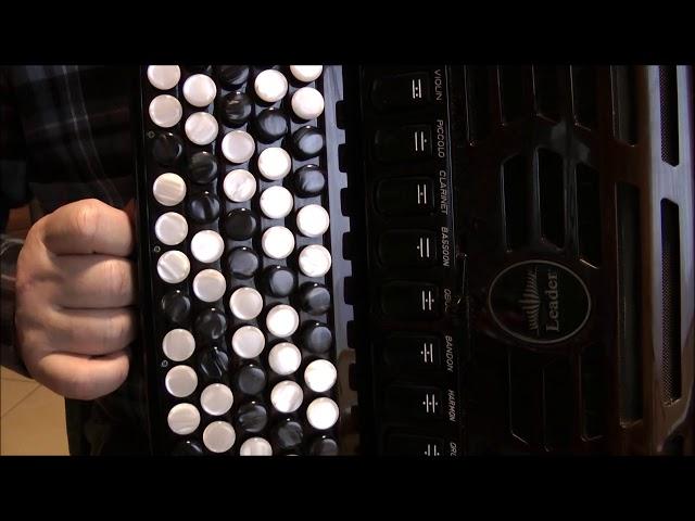 ВЫ ШУМИТЕ БЕРЁЗЫ - Разбор на баяне (COVER)