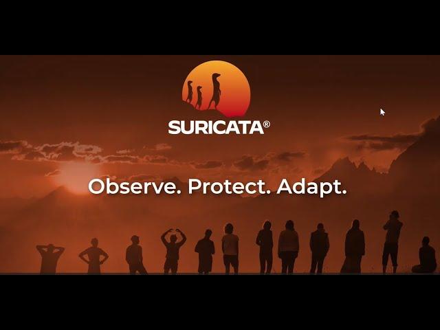 Suricata (Quick Intro)