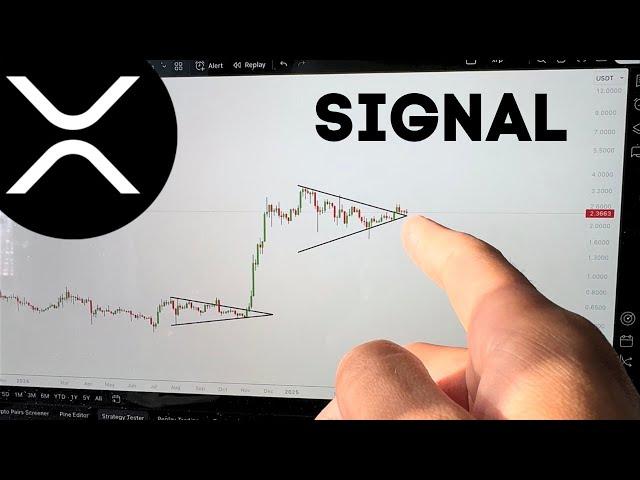 XRP WILL MAKE YOU F**NG RICH!!!!!!!!!! (not clickbait)