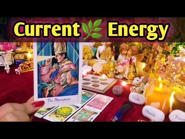 कब निकल पाएंगे हम इस मुश्किल् से Messages From Your PersonTimeless Tarot Reading