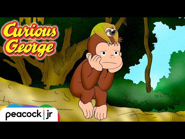 New Friends in the Rainforest | CURIOUS GEORGE