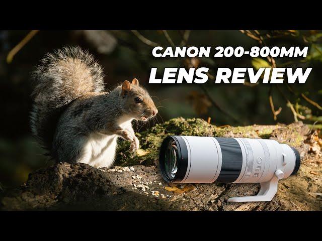 Canon RF 200-800mm f6.3-9 IS USM Lens Review | A Super Versatile Telephoto Lens